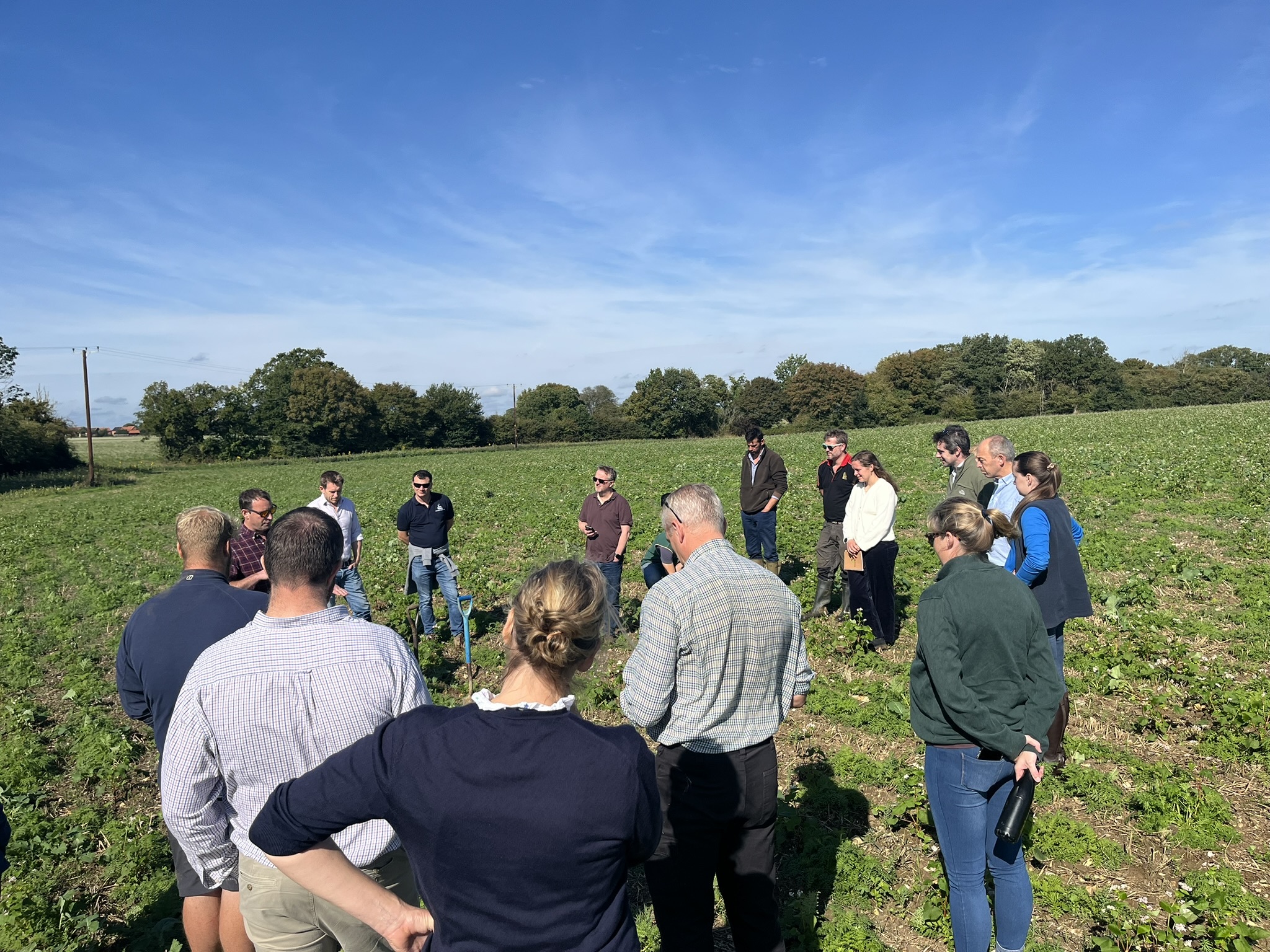 Farmers touring a crop trial