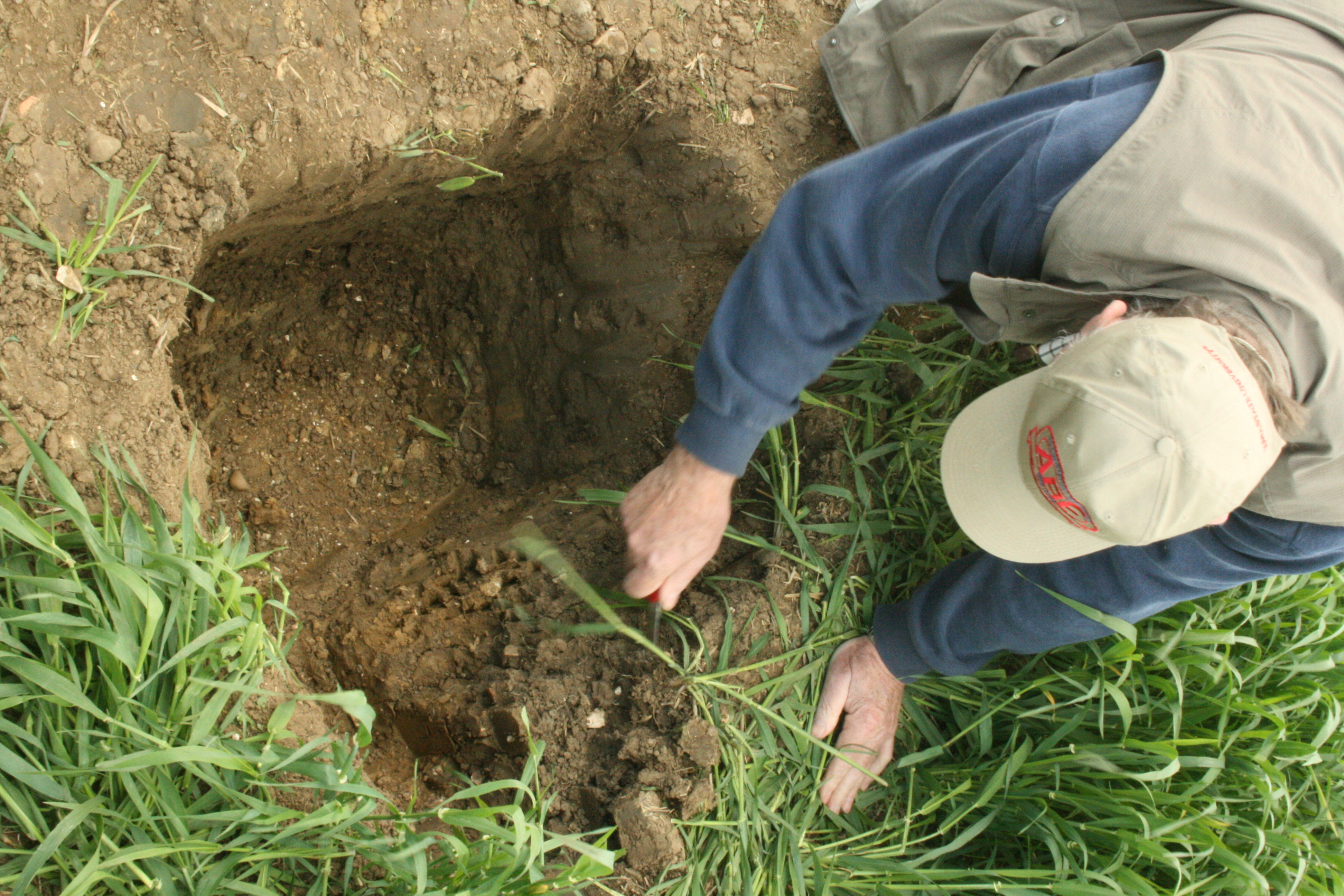Digging a soil inspection pit
